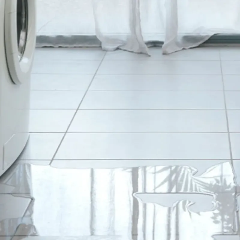 Appliance Leak Cleanup in Webster, SD