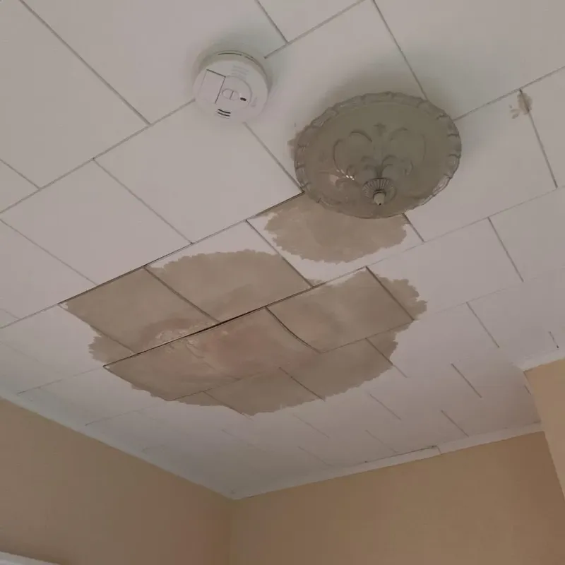 Ceiling Water Damage Repair in Webster, SD