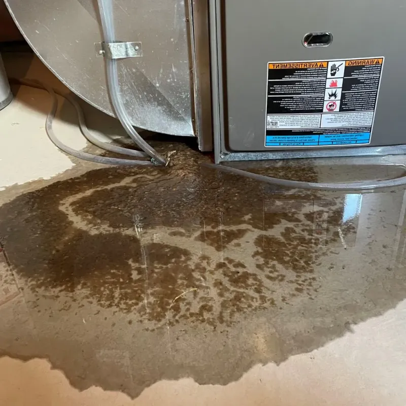 Pipe Burst and Leak Restoration in Webster, SD