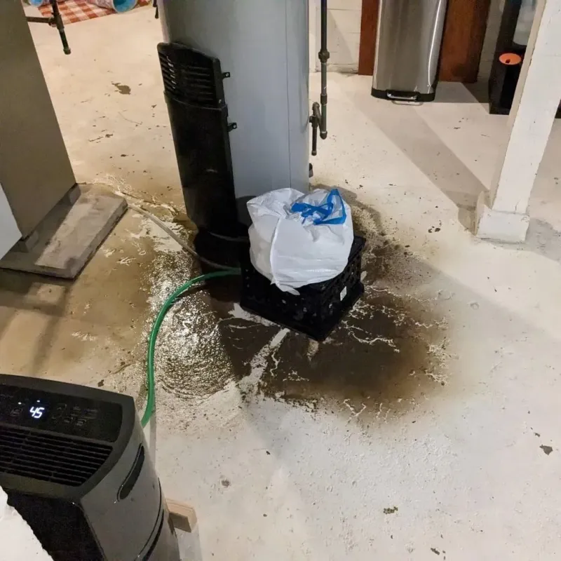 Sewage Backup Cleanup Service in Webster, SD
